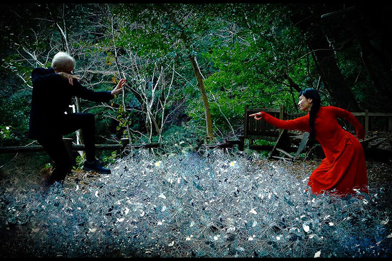 Nao Kimura Chris Mosdell